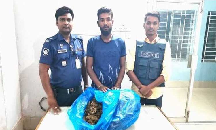সরাইলে ৫কেজি গাঁজাসহ এক মাদক কারবারী গ্রেফতার