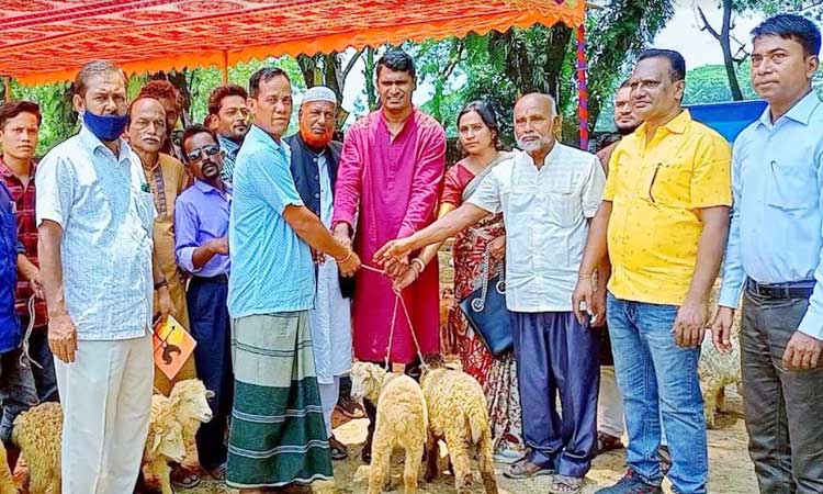 দুর্গাপুরে ক্ষুদ্র-নৃগোষ্ঠীদের মাঝে ভেড়া বিতরণ