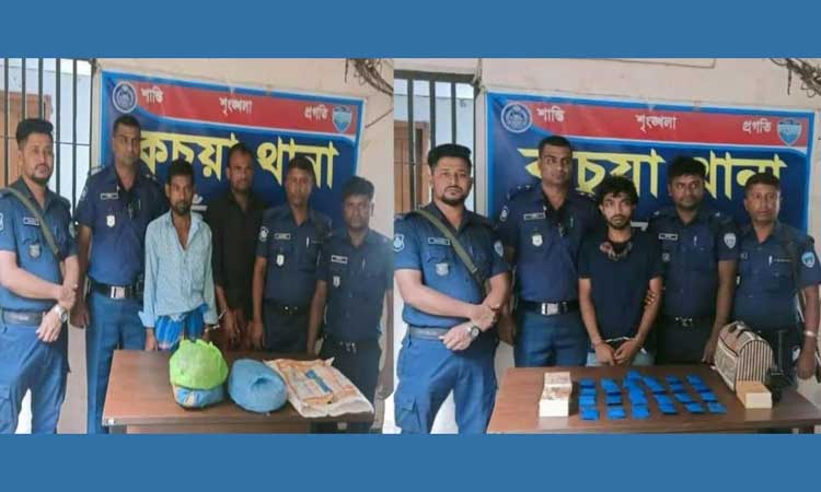 কচুয়ায় পৃথক অভিযানে ইয়াবা ও গাঁজাসহ গ্রেফতার ৩