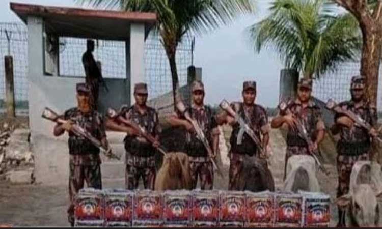 বিজিবির অভিযানে ভারতীয় গরু,পাতার বিড়িসহ পাচারকারী আটক
