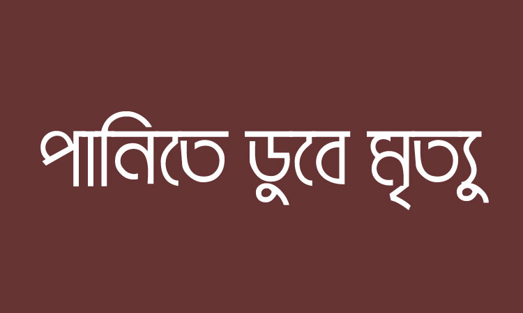 নবীনগরে পানিতে ডুবে দুই শিশুর মৃত্যু