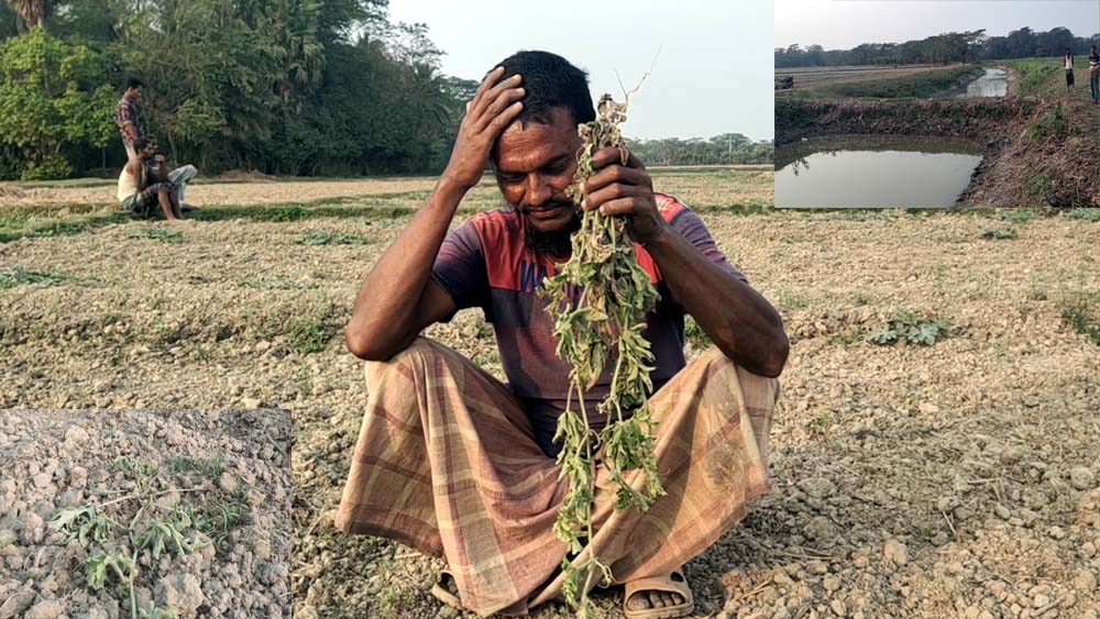 প্রবাহমান খালে বাঁধ দিয়ে মাছ চাষ,পানির অভাবে পুড়ছে তরমুজের ক্ষেত,কৃষকের কপালে চিন্তার ভাজ