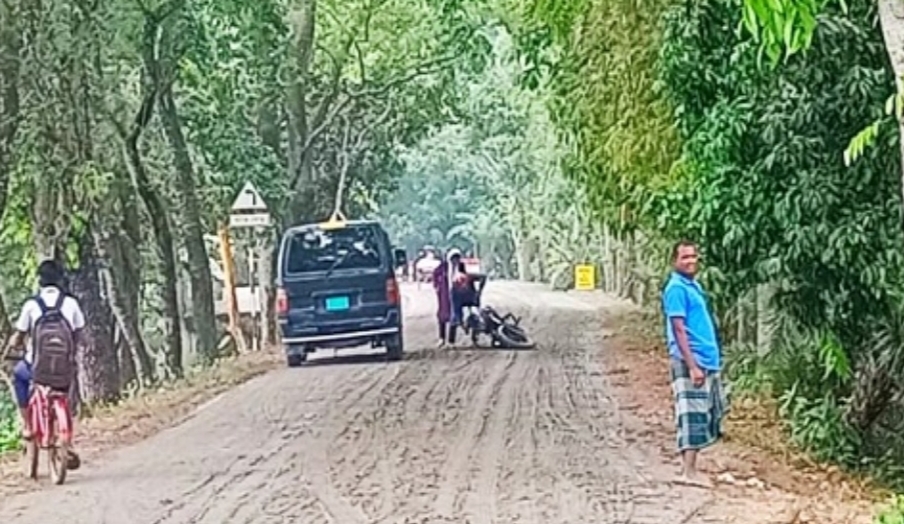 রাজবাড়ির বেশির ভাগ পাকা সড়ক যেনো মরণ ফাঁদ