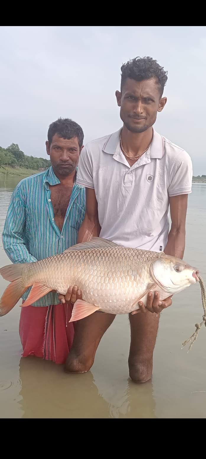 গড়াই নদীতে জেলের জালে ধরা পড়লো ১৪ কেজির রুই
